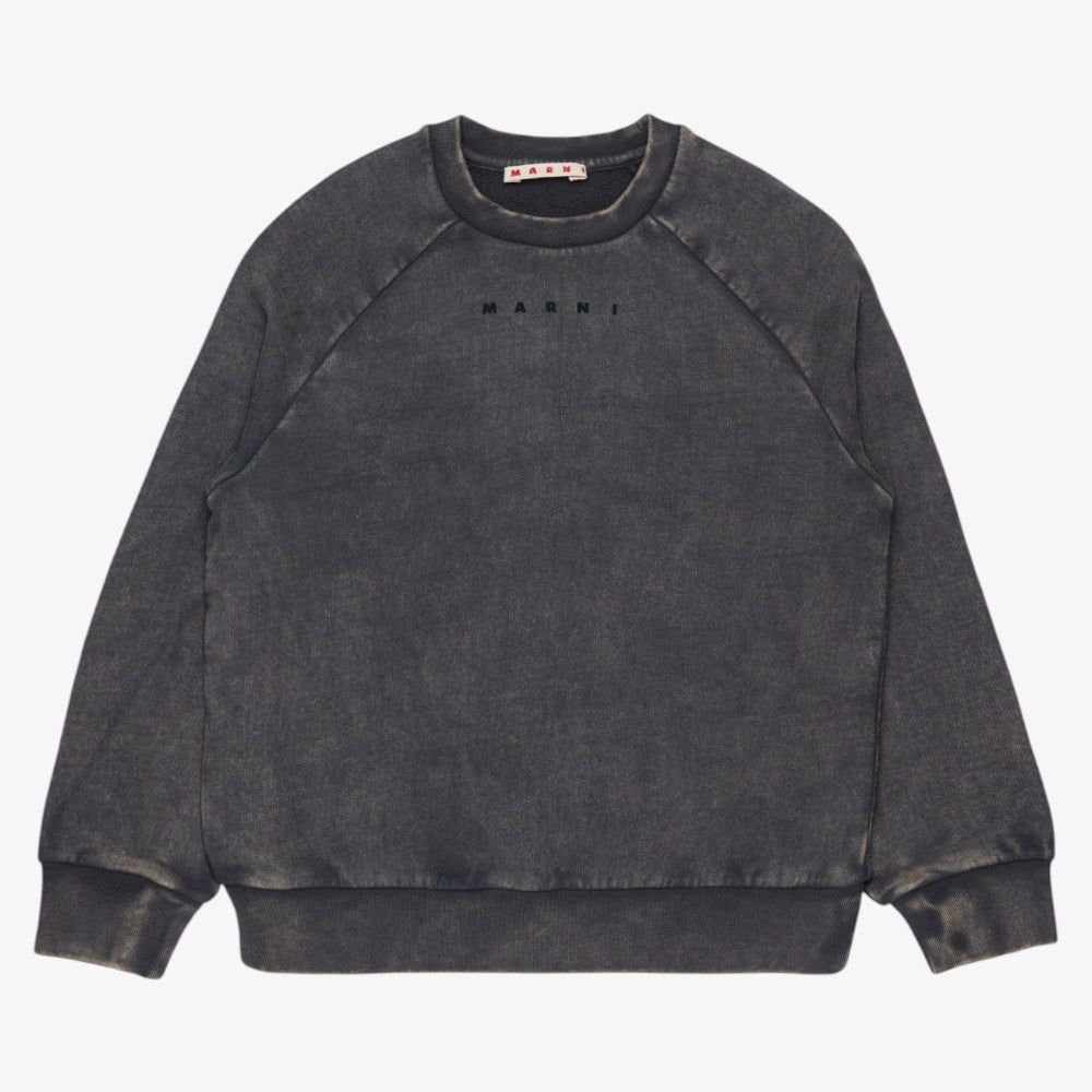 Logo Sweatshirt - Grey