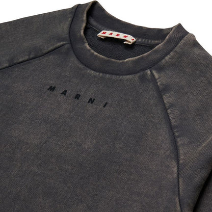 Logo Sweatshirt - Grey