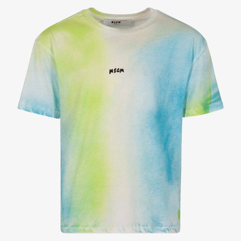 Dye T-Shirt - Blue&amp;green
