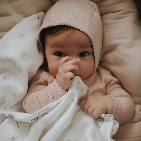 Printed Swaddle - Adventures Rose