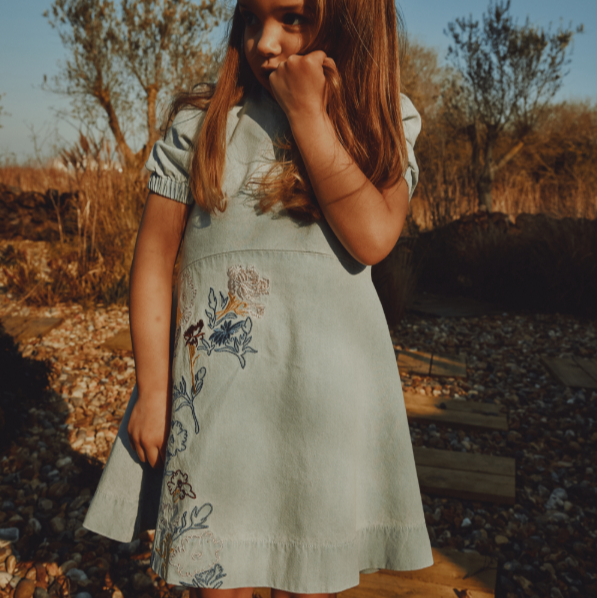 Embroidered Dress - Denim