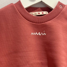 Logo Sweatshirt - Salmon