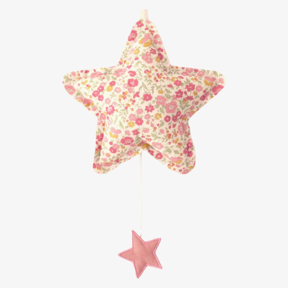 Musical Star - Rose Garden