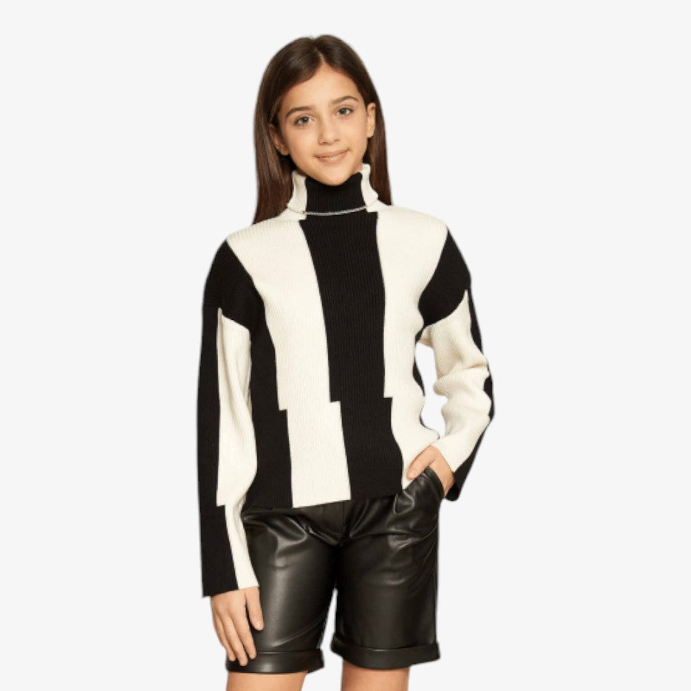 Stripe Turtleneck - Black&amp;white