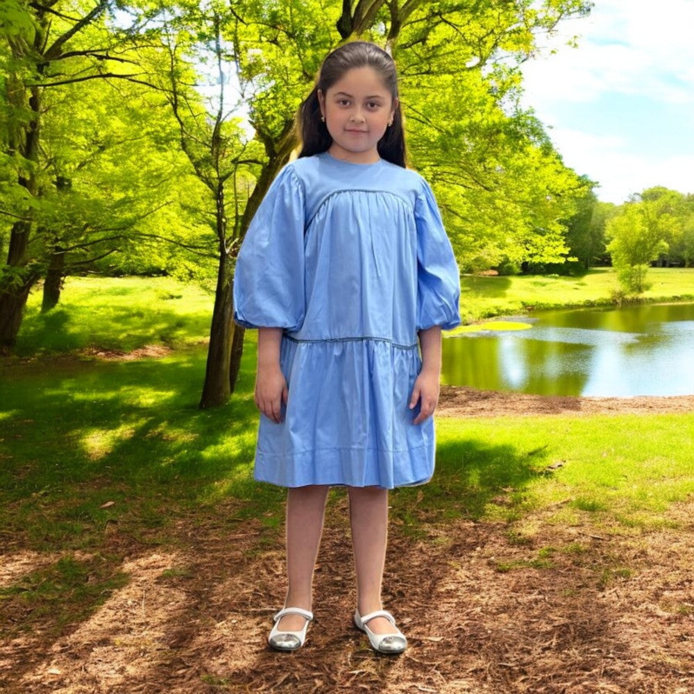 Printed Dress - Blue