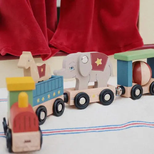 Wooden Animal Train - Multi