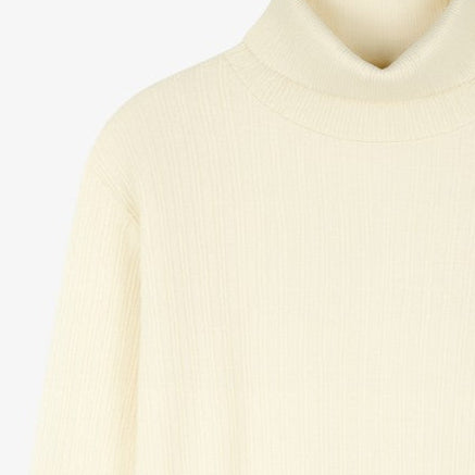 Design Knit Turtleneck - Ivory