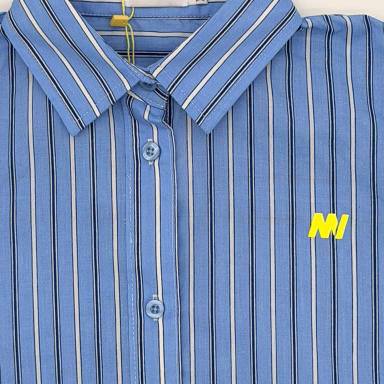 Striped Crop Shirt - Blue