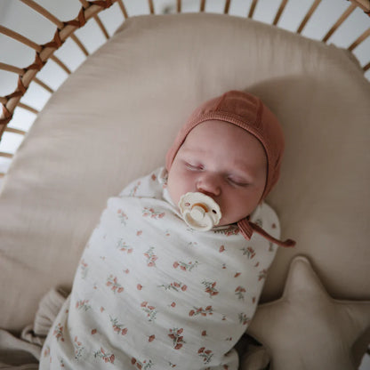 Daisy Silicone Pacifier Clip 2 Pack - Clay &amp; Cream