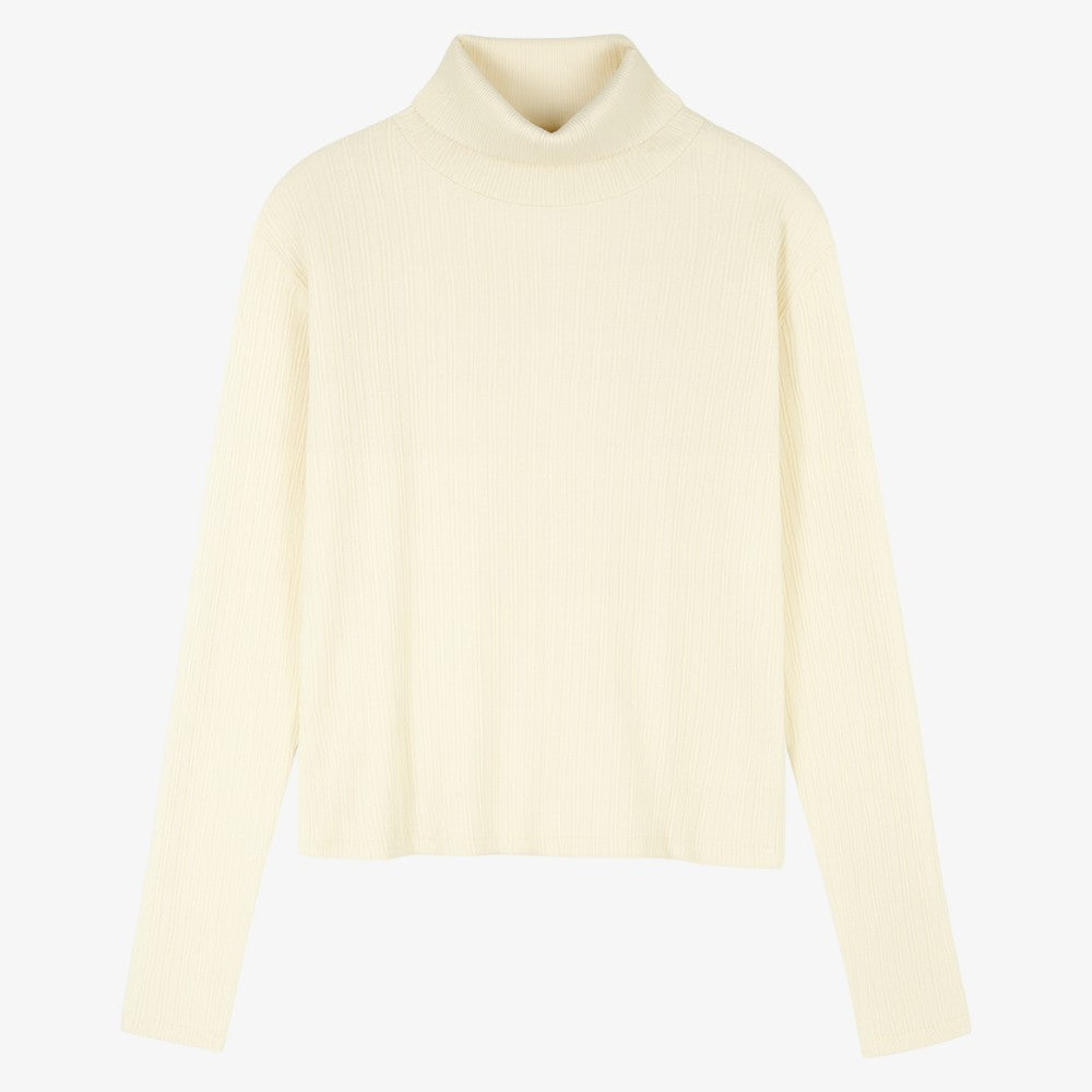 Design Knit Turtleneck - Ivory