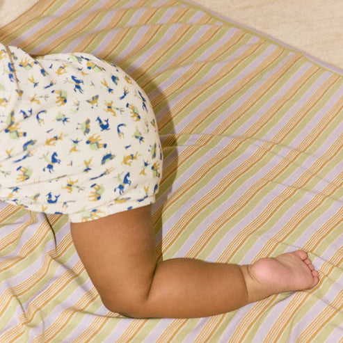 Blanket - Avenue Stripe