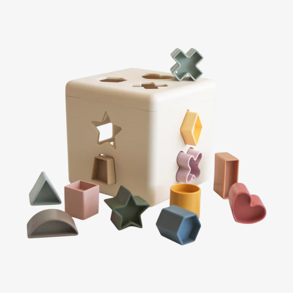 Shape Sorting Box - Multi