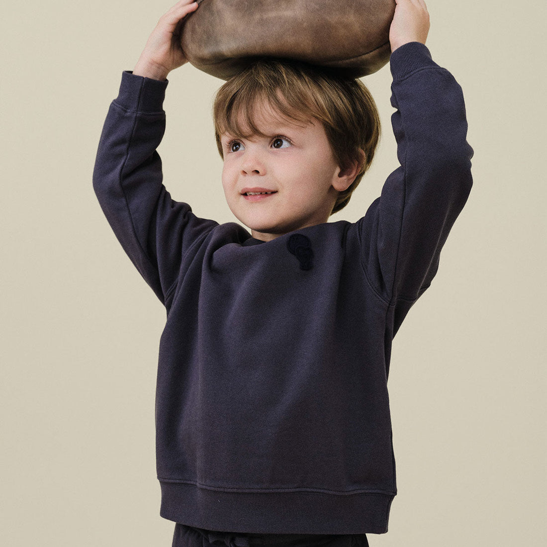 Ben Sweatshirt - Navy