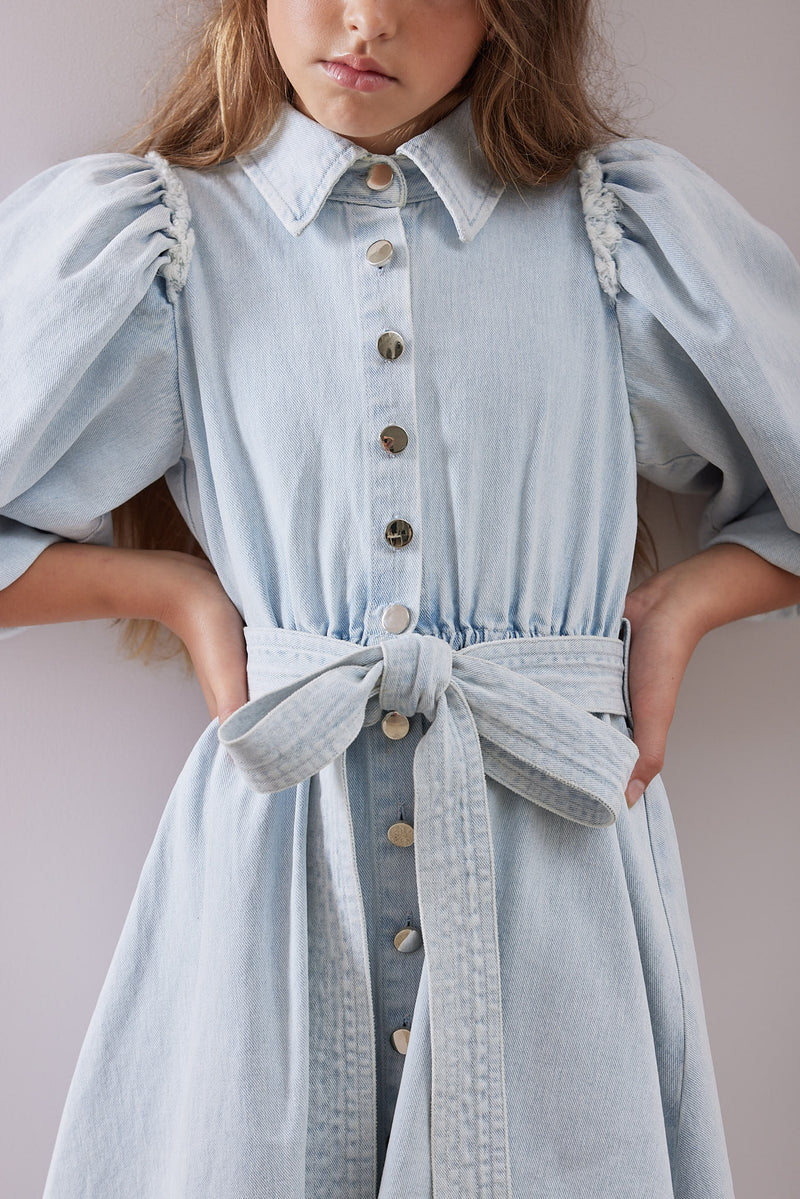Petite Amalie Denim Button Dress - Light Denim