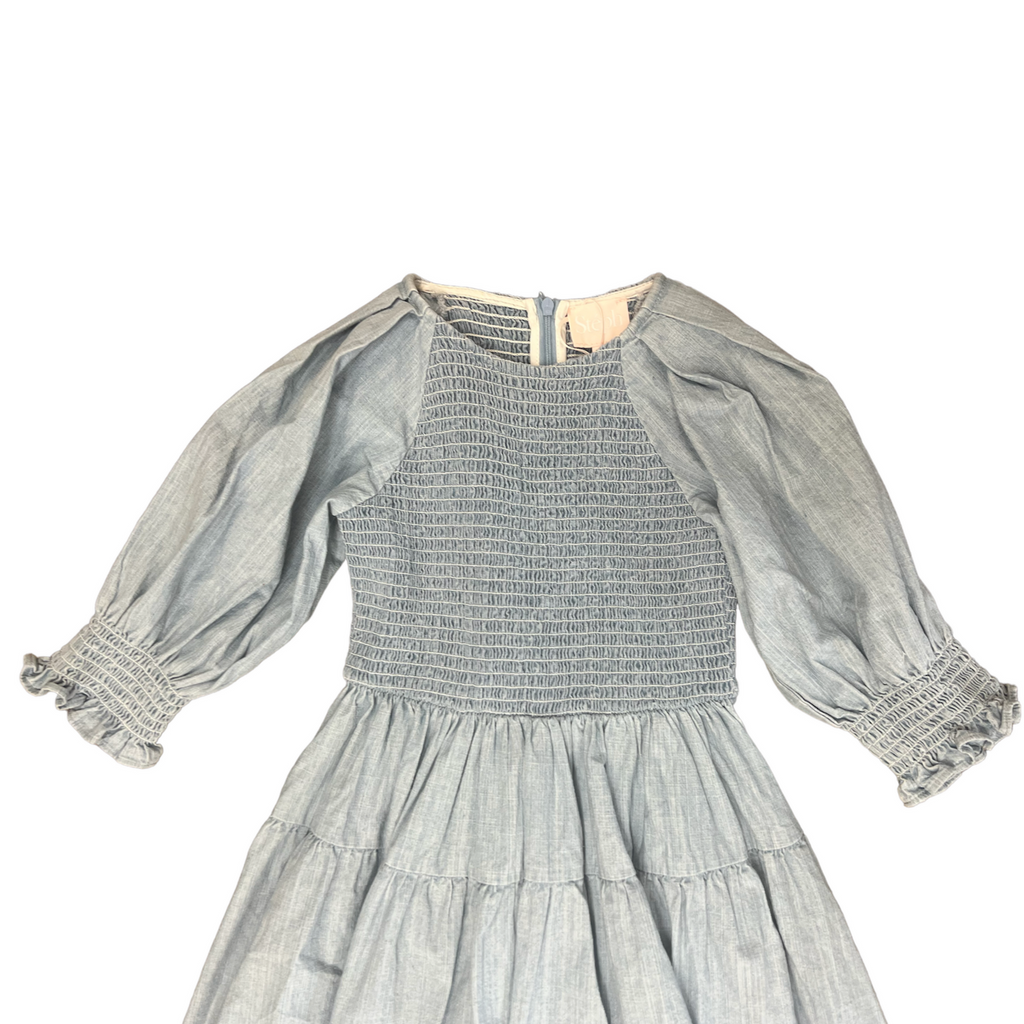 Petite Amalie Chambray Shirred Dress - Chambray