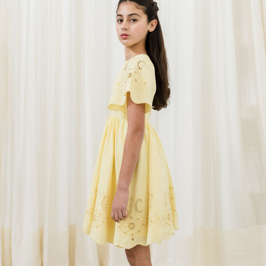 Petite Amalie Embroidered Dress - Lemon