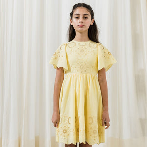 Petite Amalie Embroidered Dress - Lemon