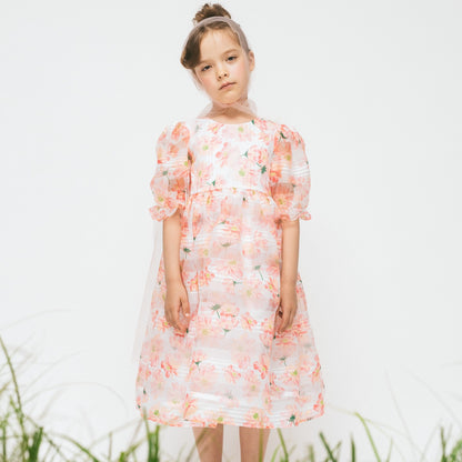 Paade Mode Chiffon Maxi Dress - Mariglod